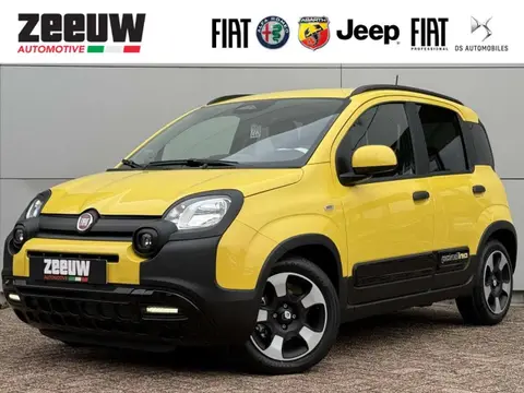 Used FIAT PANDA Petrol 2024 Ad 