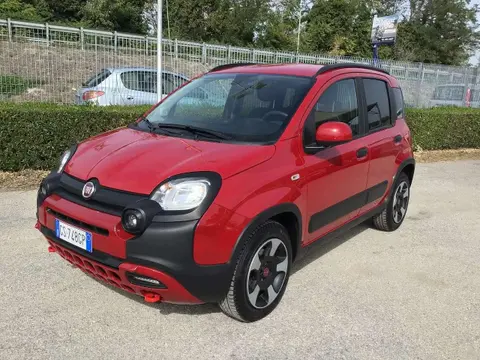 Annonce FIAT PANDA Hybride 2024 d'occasion 