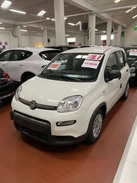 Used FIAT PANDA Hybrid 2024 Ad 