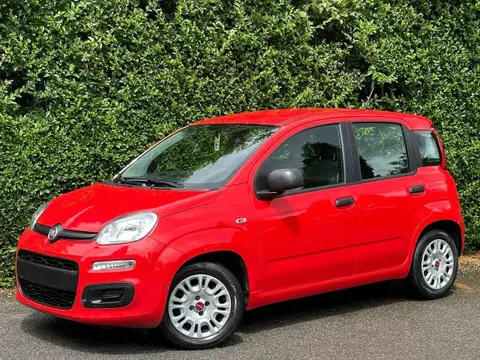 Used FIAT PANDA Hybrid 2021 Ad 