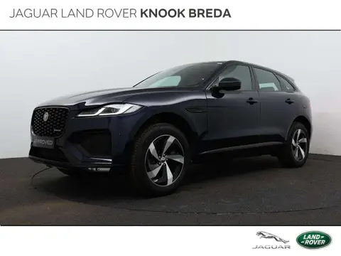 Used JAGUAR F-PACE Hybrid 2023 Ad 