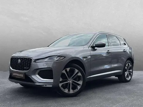 Annonce JAGUAR F-PACE Diesel 2024 d'occasion 