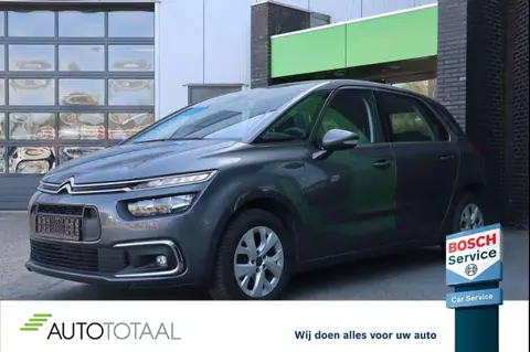 Annonce CITROEN C4 Essence 2019 d'occasion 