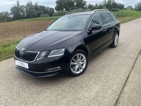 Used SKODA OCTAVIA Diesel 2019 Ad 