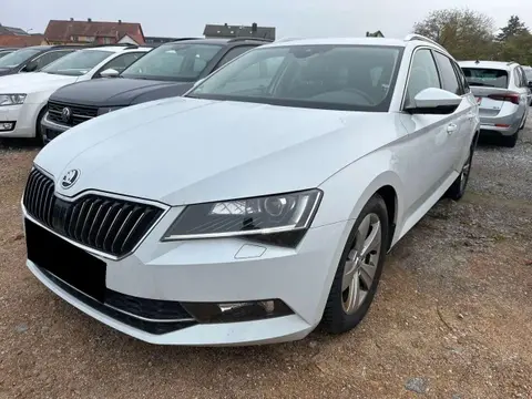 Annonce SKODA SUPERB Diesel 2019 d'occasion 