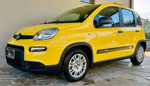 Used FIAT PANDA Hybrid 2024 Ad 