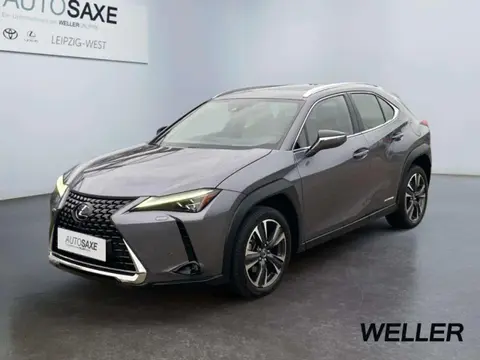 Used LEXUS UX Hybrid 2019 Ad Germany