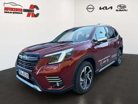 Annonce SUBARU FORESTER Essence 2024 d'occasion 