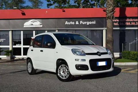 Used FIAT PANDA Petrol 2020 Ad 