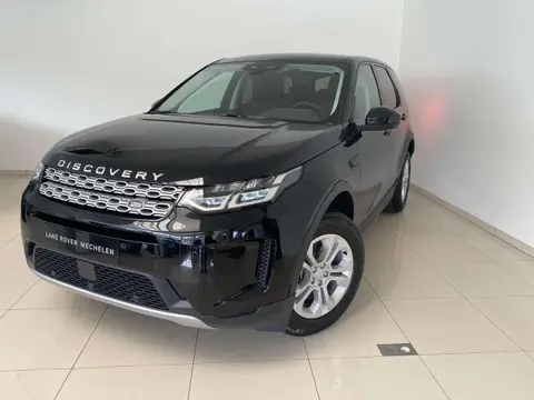 Used LAND ROVER DISCOVERY Diesel 2022 Ad 