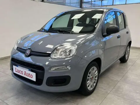 Used FIAT PANDA Hybrid 2022 Ad 