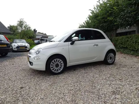 Used FIAT 500 Petrol 2023 Ad 