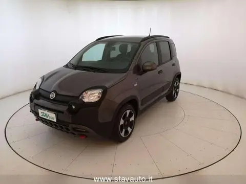 Used FIAT PANDA  2023 Ad 