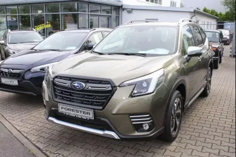 Used SUBARU FORESTER Petrol 2024 Ad 