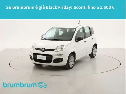 Annonce FIAT PANDA GPL 2020 d'occasion 