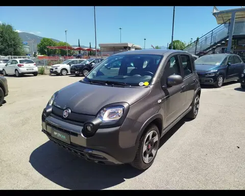 Used FIAT PANDA Hybrid 2023 Ad 