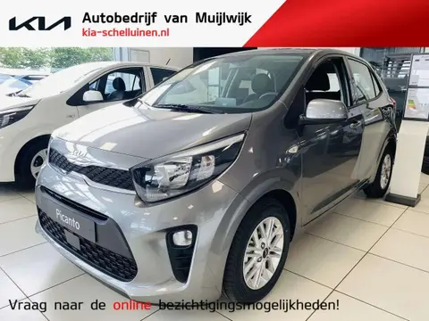 Annonce KIA PICANTO Essence 2024 d'occasion 