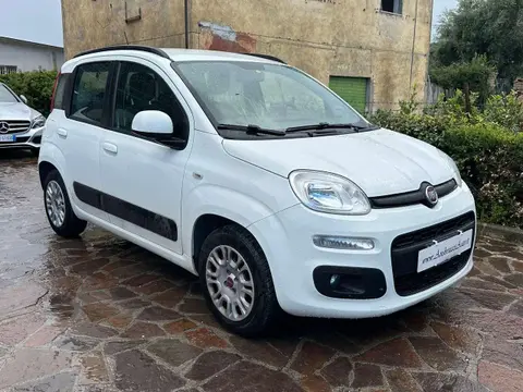 Used FIAT PANDA Petrol 2020 Ad 