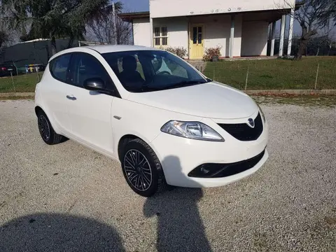 Used LANCIA YPSILON Hybrid 2021 Ad 