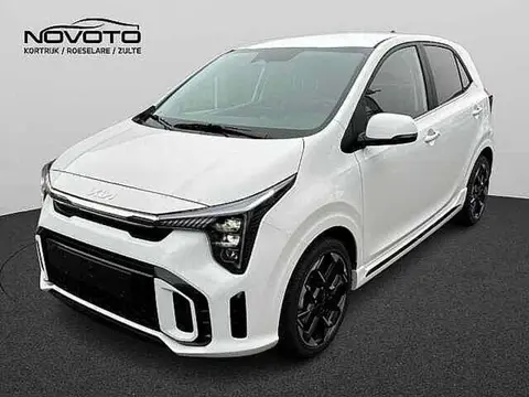 Used KIA PICANTO Petrol 2024 Ad 