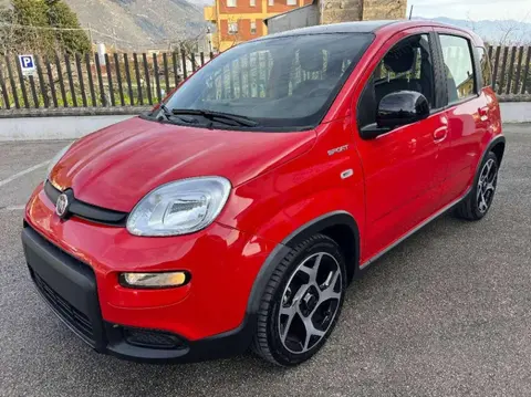 Annonce FIAT PANDA Hybride 2021 d'occasion 