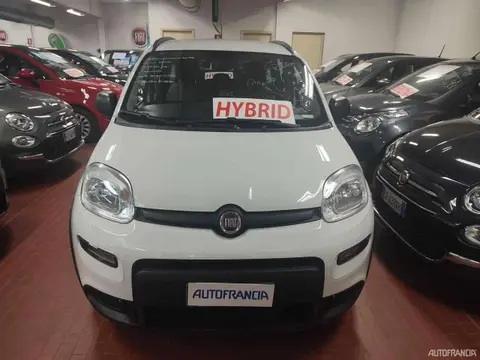 Annonce FIAT PANDA Hybride 2021 d'occasion 