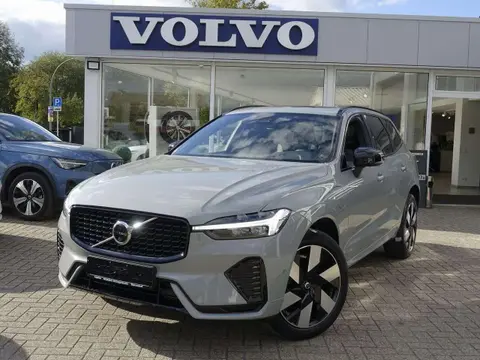 Used VOLVO XC60 Hybrid 2024 Ad 