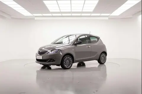 Used LANCIA YPSILON Hybrid 2023 Ad 