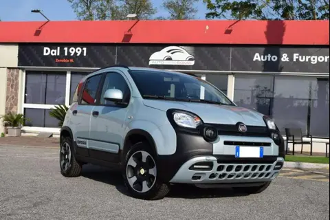 Used FIAT PANDA Hybrid 2021 Ad 