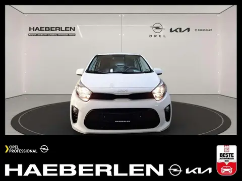 Annonce KIA PICANTO Essence 2024 d'occasion 