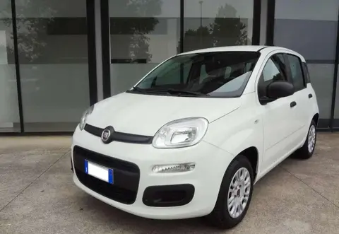 Annonce FIAT PANDA Essence 2019 d'occasion 