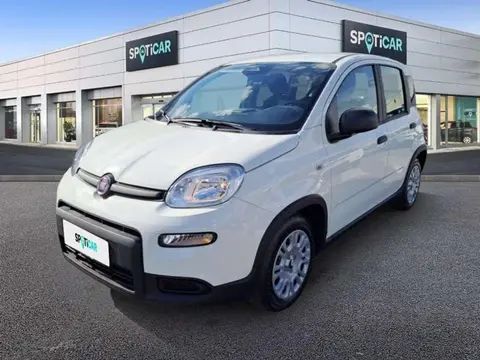 Used FIAT PANDA Petrol 2024 Ad 