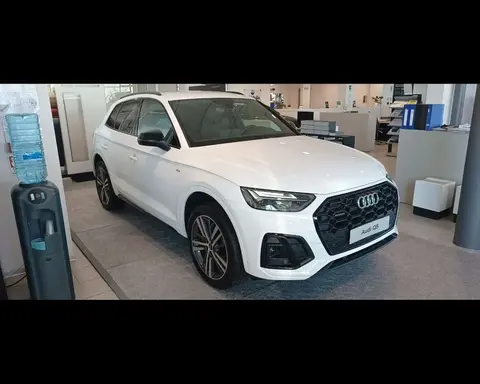 Used AUDI Q5 Hybrid 2024 Ad 