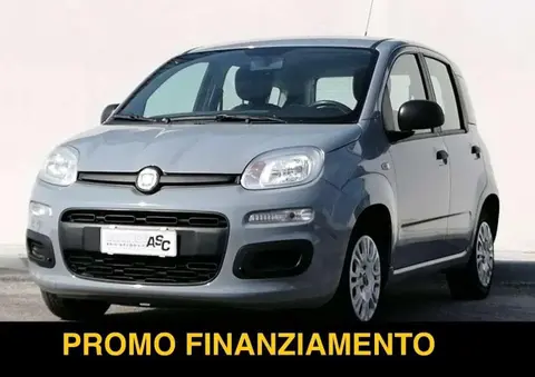 Annonce FIAT PANDA Essence 2019 d'occasion 