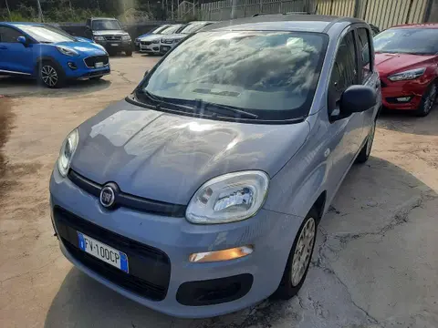 Annonce FIAT PANDA Diesel 2019 d'occasion 