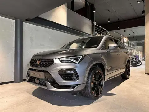 Annonce CUPRA ATECA Essence 2024 d'occasion 