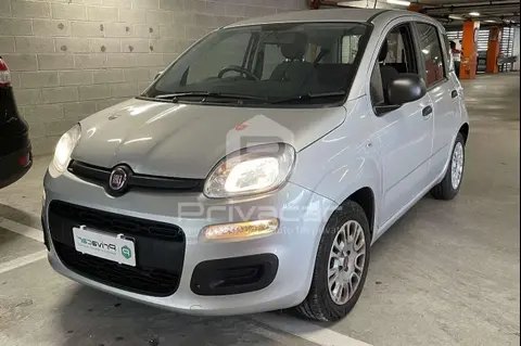 Used FIAT PANDA Hybrid 2021 Ad 