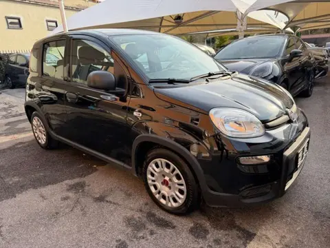 Annonce FIAT PANDA Essence 2022 d'occasion 