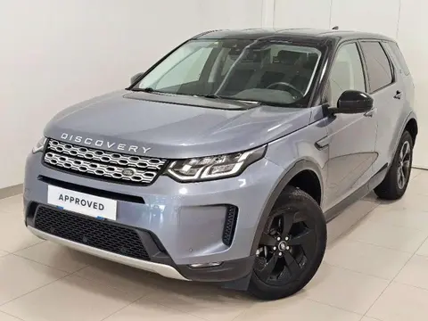 Used LAND ROVER DISCOVERY Hybrid 2020 Ad 