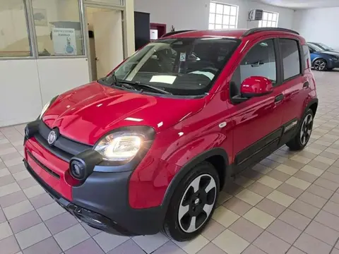 Annonce FIAT PANDA Hybride 2024 d'occasion 