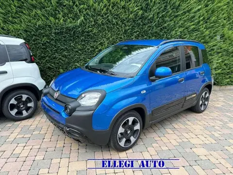 Used FIAT PANDA Hybrid 2024 Ad 