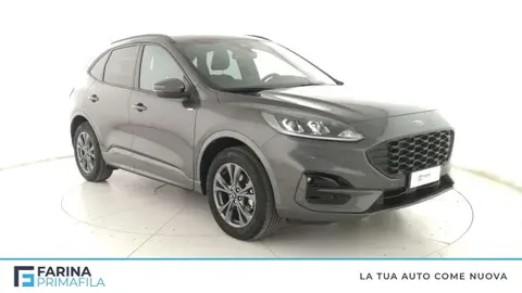 Used FORD KUGA Hybrid 2023 Ad 