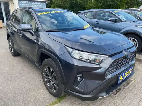 Used TOYOTA RAV4 Hybrid 2023 Ad 