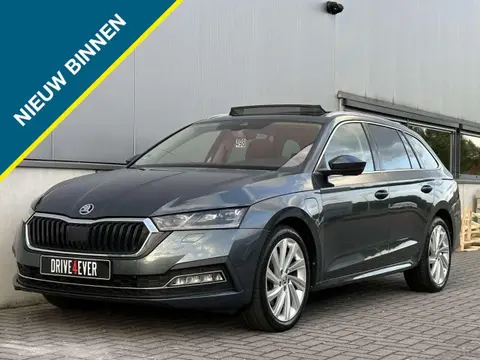 Annonce SKODA OCTAVIA Hybride 2021 d'occasion 