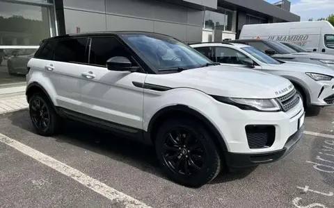 Used LAND ROVER RANGE ROVER EVOQUE Diesel 2019 Ad 