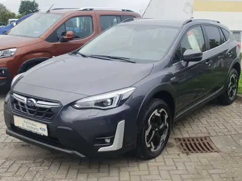 Used SUBARU XV Petrol 2021 Ad 