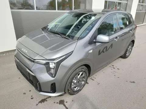 Used KIA PICANTO Petrol 2024 Ad 