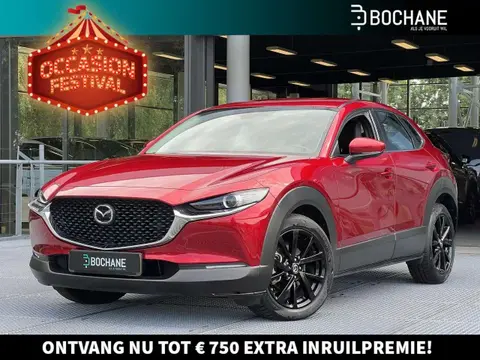 Annonce MAZDA CX-30 Hybride 2020 d'occasion 