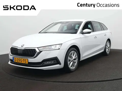 Used SKODA OCTAVIA Petrol 2023 Ad 