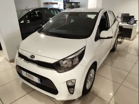 Annonce KIA PICANTO Essence 2021 d'occasion 